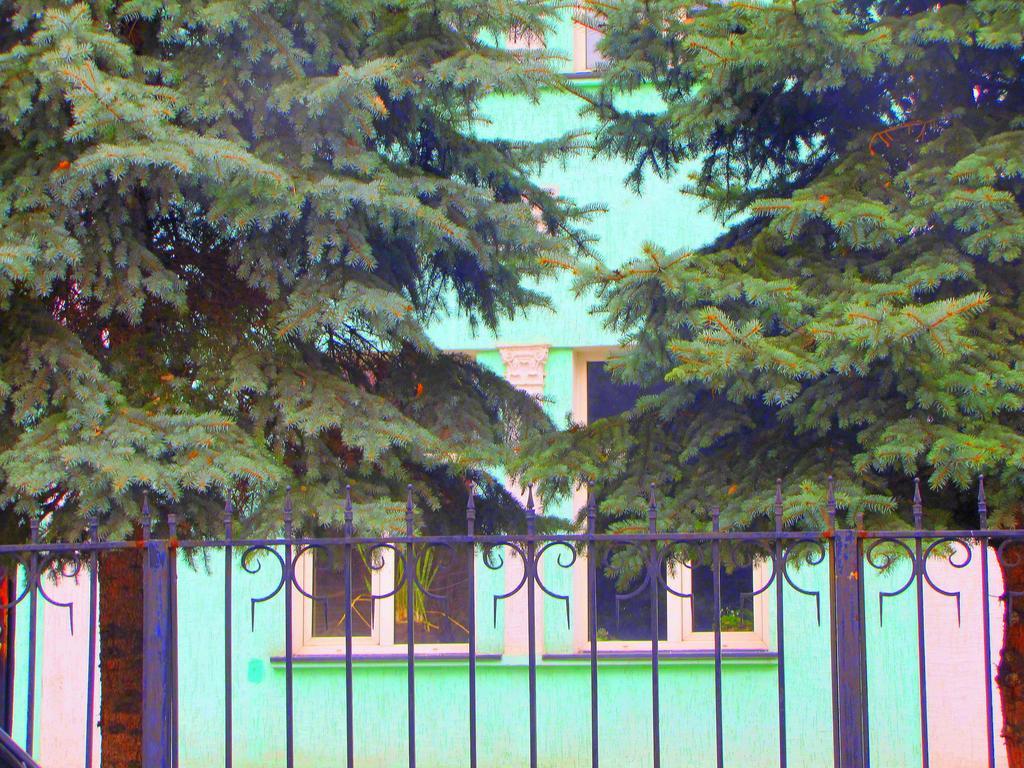 Guest House On Kaldaiakova 38 Almaty Exterior photo